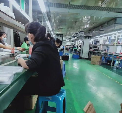 破解用工荒迷思 从浙江技术服务看劳动力市场的价值回归